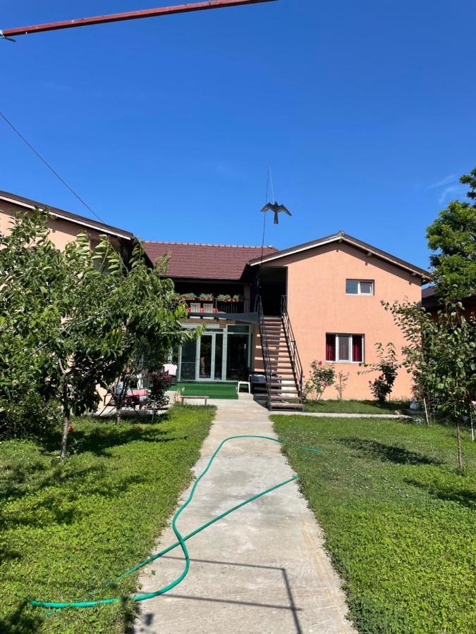 Hotel Vila Baciu Tuzla Zewnętrze zdjęcie